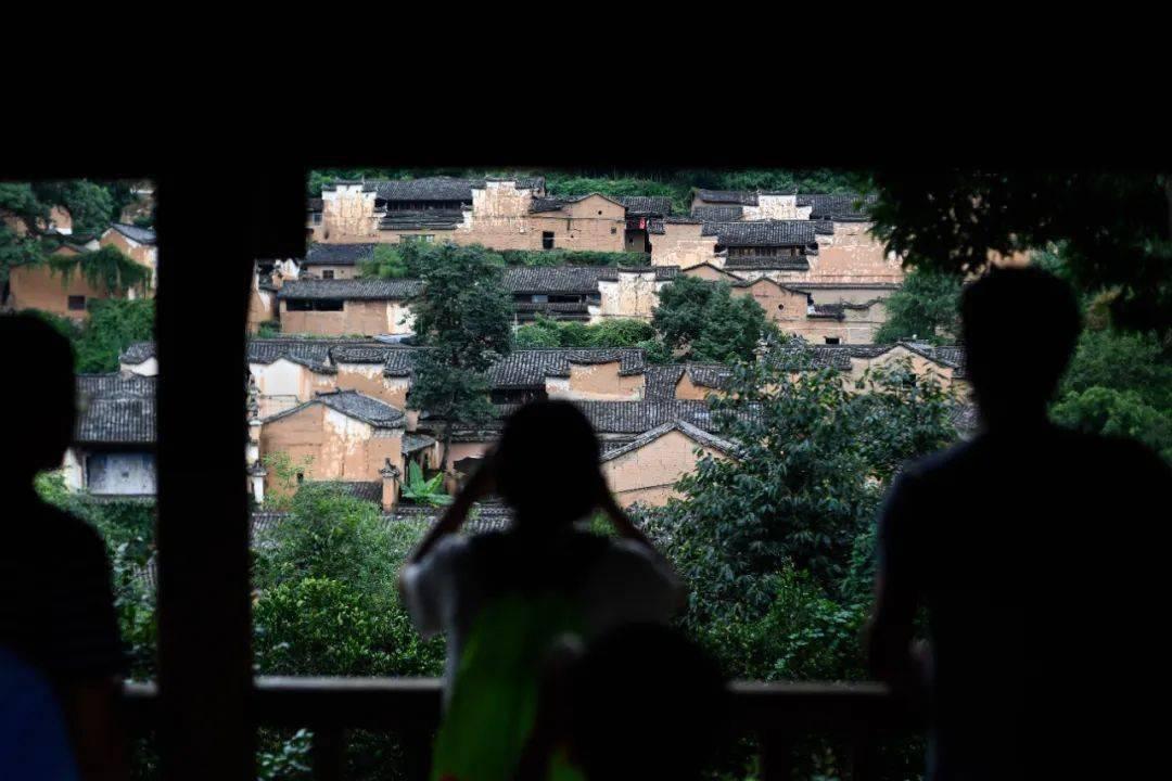 矿工打地鼠