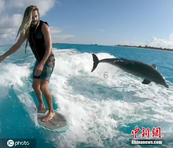 夏天的鱼硬又臭打一生肖？游戏画面