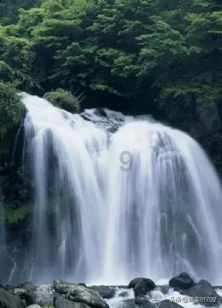 双人坦克世界3D