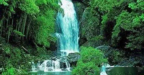 新春走基层｜昭通大关年味渐浓，特色年货购销两旺