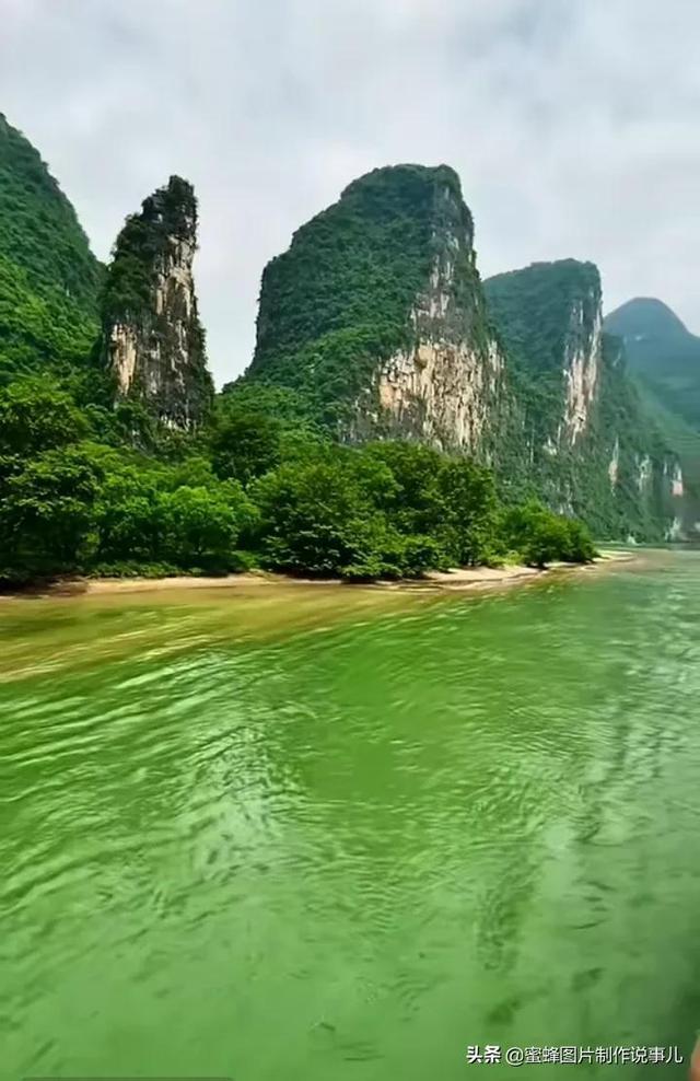 巫师之徒